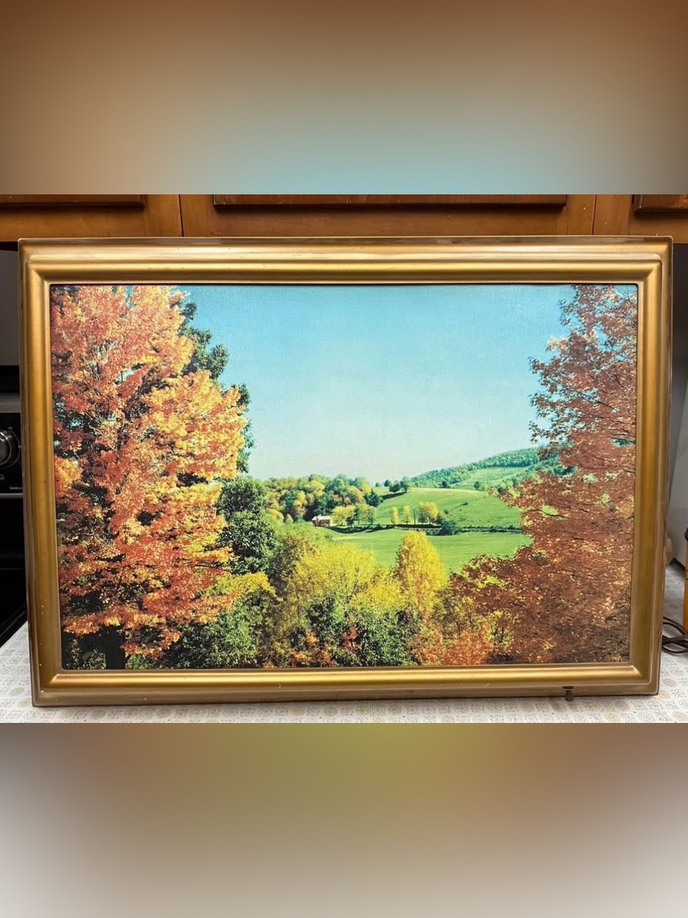 Vintage ILLUMINATED Autumn/Fall Hillside Picture - WORKS!